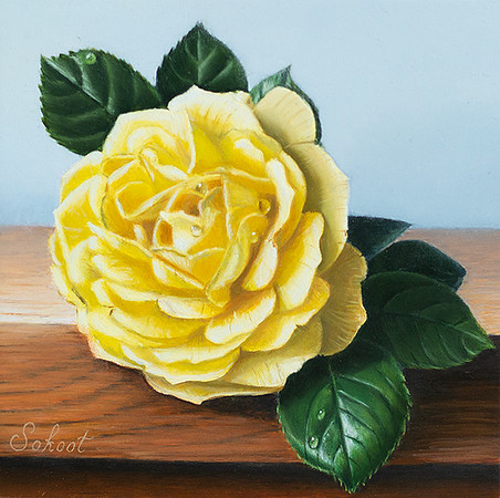 Mini Rose, Oil on panel, 10 x 10 cm - Available